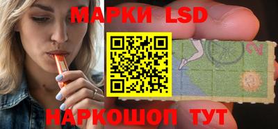 индика Рыбинск