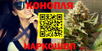 СК Пушкино