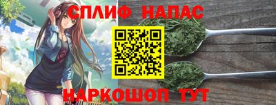 индика Рыбинск