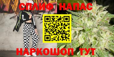 ALPHA PVP Пугачёв