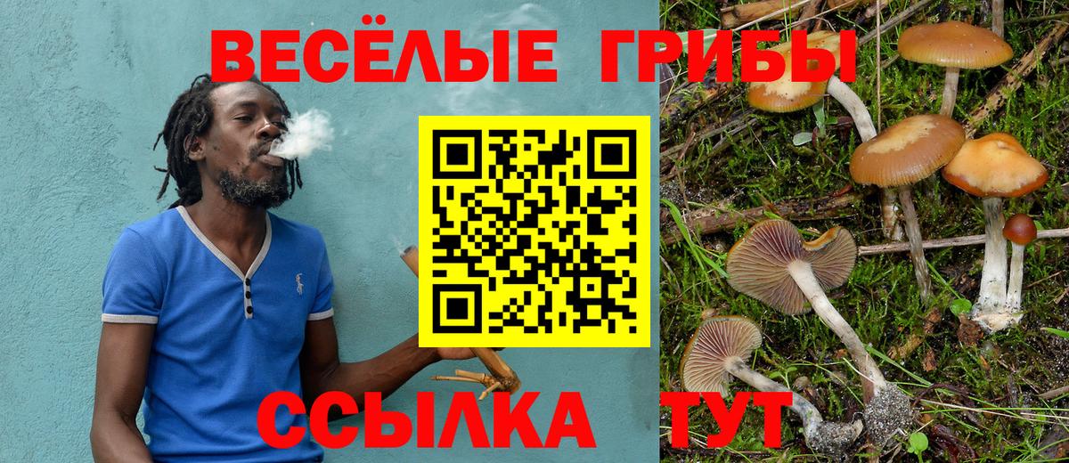 Псилоцибиновые грибы Magic Shrooms  Вход с VPN  Галлюциногенные грибы Psilocybine cubensis  Скопин 